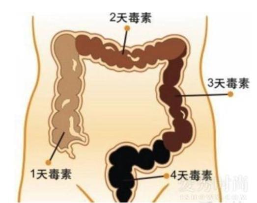 每天在什么时间段排便,说明消化系统很健康?（图）