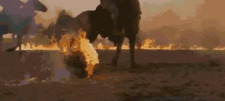 因为一头猪就开战?盘点史上最不靠谱的战争(图) 因为一头猪就开战?盘点史上最不靠谱的战争(图)