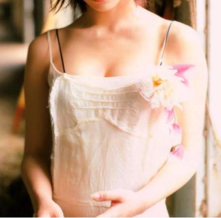 因为一头猪就开战?盘点史上最不靠谱的战争(图) 因为一头猪就开战?盘点史上最不靠谱的战争(图)