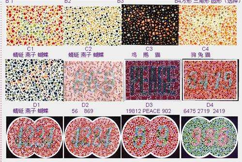 色弱能考驾照吗：关于色盲色弱介绍