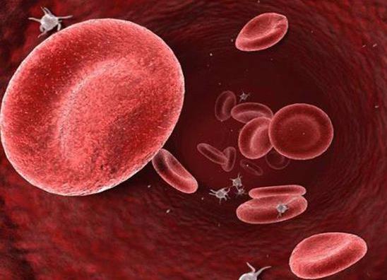 胆红素高是怎么回事：胆红素正常值,胆红素高调理办法