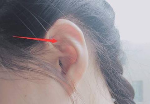 洗澡时越爱洗这里,寿命越长久:你洗澡洗对了吗 洗澡时越爱洗这里,寿命越长久:你洗澡洗对了吗