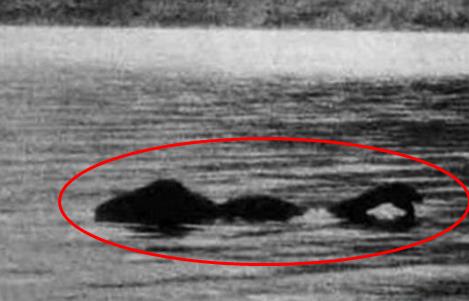 喀纳斯湖水怪:新疆喀纳斯湖水怪真相揭晓(图) 喀纳斯湖水怪:新疆喀纳斯湖水怪真相揭晓(图)