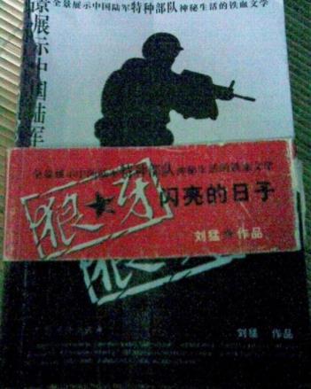 特种兵小说：好看特种兵小说简介