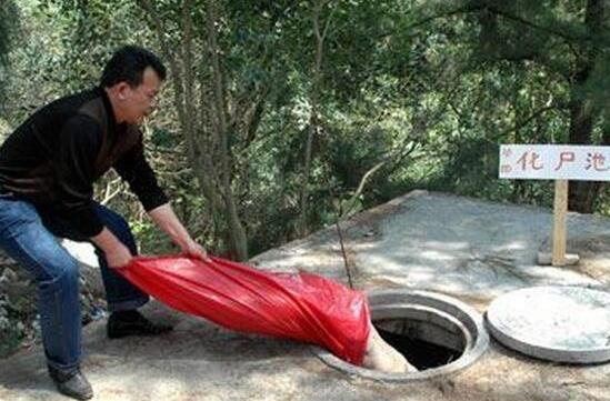 传说中养猪场的病死猪都去了哪里?为您揭开真相(图) 传说中养猪场的病死猪都去了哪里?为您揭开真相(图)