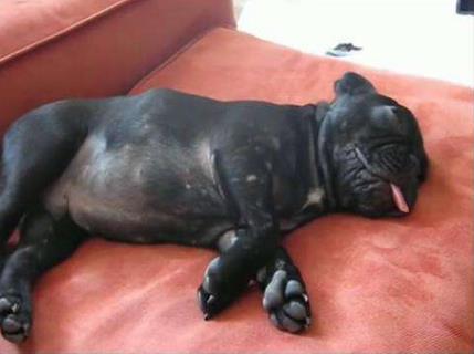 常年打呼噜竟不知鼻子里有它(图) 常年打呼噜竟不知鼻子里有它(图)