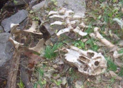 封门村图片:恐怖的封门村诡异图片 封门村图片:恐怖的封门村诡异图片