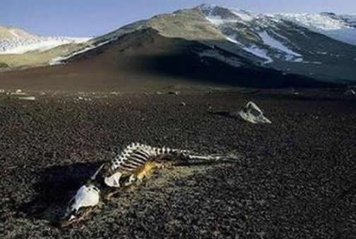 昆仑山死亡谷:死亡谷离奇事件,死亡谷里面有什么