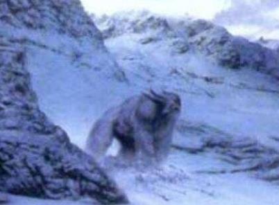 野人图片:全球六大野人详情介绍（图）