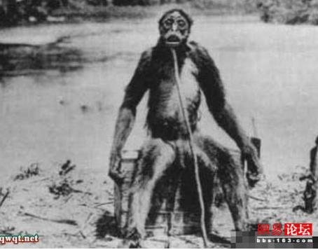 野人图片:全球六大野人详情介绍（图）
