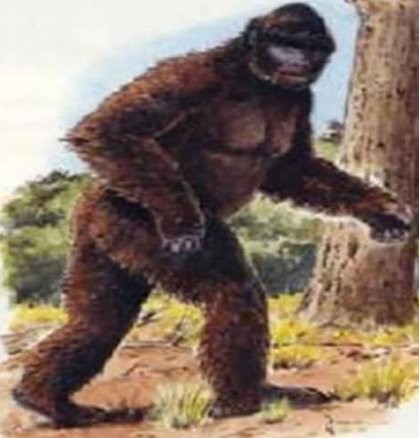 野人图片:全球六大野人详情介绍（图）