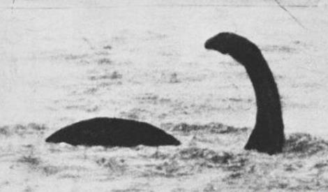 十大神秘生物:不可思议的全球十大神秘生物(图) 十大神秘生物:不可思议的全球十大神秘生物(图)