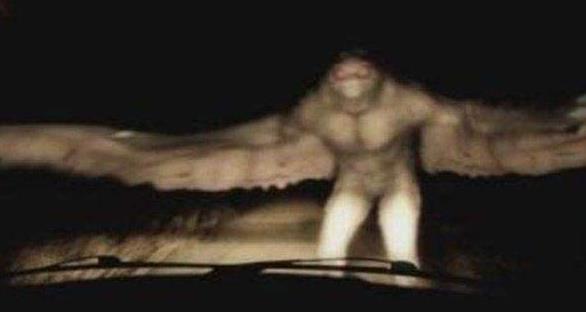 十大神秘生物：不可思议的全球十大神秘生物（图）