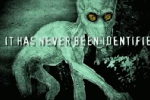 十大神秘生物：不可思议的全球十大神秘生物（图）