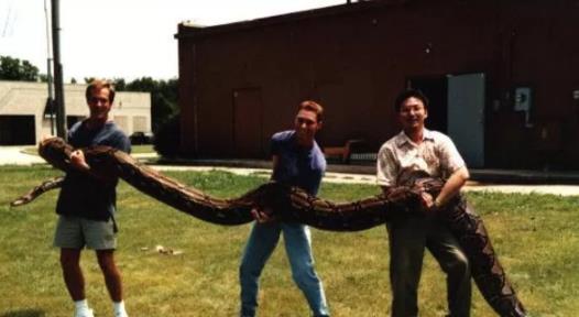 这应该才是最大的蛇Top10：世界十大最大蛇简介