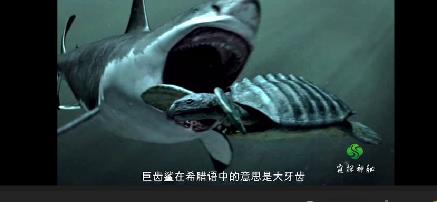巨齿鲨简介：巨齿鲨地球史上最强悍的生物（图）