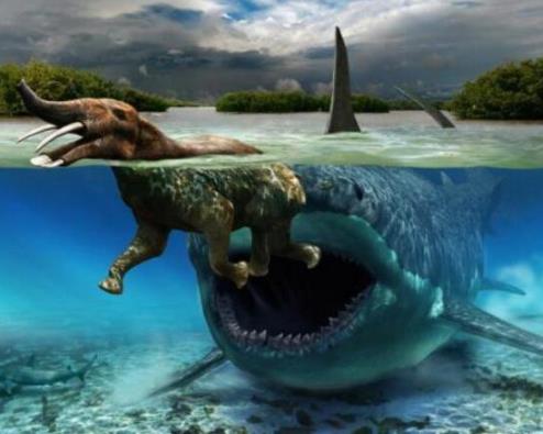 巨齿鲨简介：巨齿鲨地球史上最强悍的生物（图）