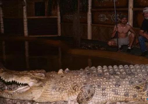 十大最大鳄鱼盘点:世界上最大的鳄鱼Top10 十大最大鳄鱼盘点:世界上最大的鳄鱼Top10