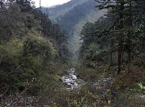 黑竹沟：四川黑竹沟中国的百慕大（图）