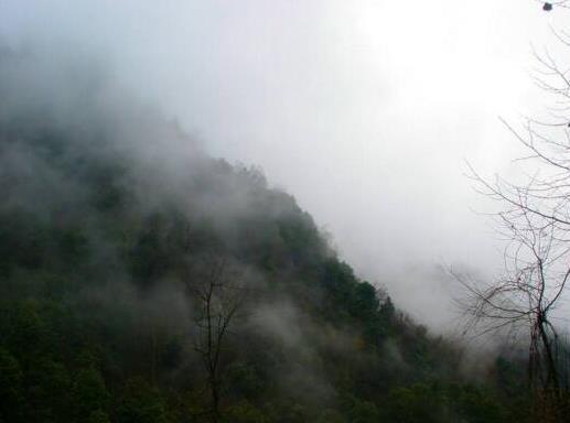 黑竹沟：四川黑竹沟中国的百慕大（图）