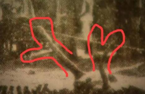 营口坠龙：揭1934年辽宁营口坠龙事件（图）