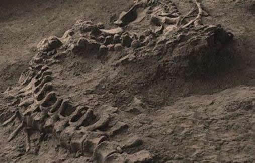 营口坠龙：揭1934年辽宁营口坠龙事件（图）