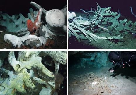 亚特兰蒂斯遗址：盘点11大海底坟墓（图）