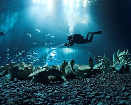 亚特兰蒂斯遗址：盘点11大海底坟墓（图）