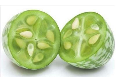 世界最小佩普基诺西瓜一口一个吃西瓜（图）