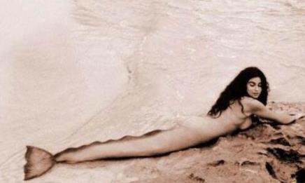 美人鱼图片:美人鱼的真面目揭秘 美人鱼图片:美人鱼的真面目揭秘