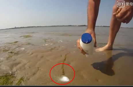 小伙用这方法在海边捉蛏子,百发百中,太神奇了（图）