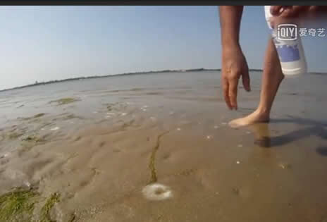小伙用这方法在海边捉蛏子,百发百中,太神奇了（图）