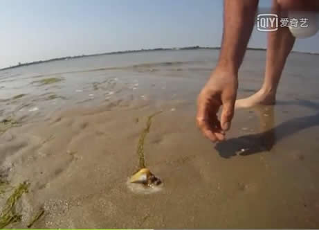 小伙用这方法在海边捉蛏子,百发百中,太神奇了（图）