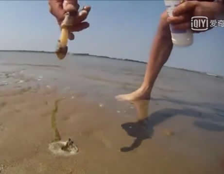 小伙用这方法在海边捉蛏子,百发百中,太神奇了（图）