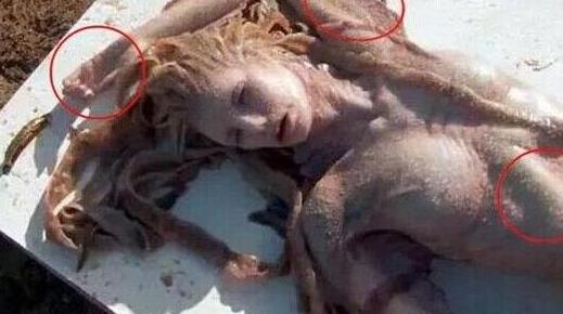 男美人鱼真身吓人图片:丑陋无比(图) 男美人鱼真身吓人图片:丑陋无比(图)