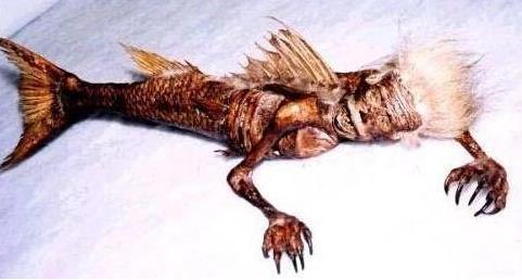 男美人鱼真身吓人图片:丑陋无比(图) 男美人鱼真身吓人图片:丑陋无比(图)