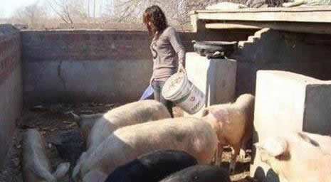 农村留守媳妇真实生活照：白天农活夜晚最难熬（图）