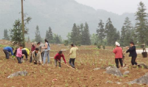 农村留守媳妇真实生活照：白天农活夜晚最难熬（图）
