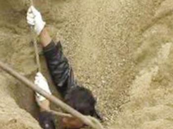 不敢相信流沙吞人的真相竟是这样(图) 不敢相信流沙吞人的真相竟是这样(图)