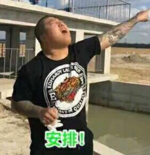 安排上了是什么梗:安排一下什么梗 安排上了是什么梗:安排一下什么梗