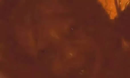 人类首次拍到魔鬼：一些存在的魔鬼灵魂的照片