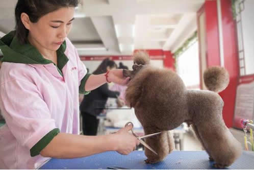 40个小本生意成功案例：最火的小本生意大盘点