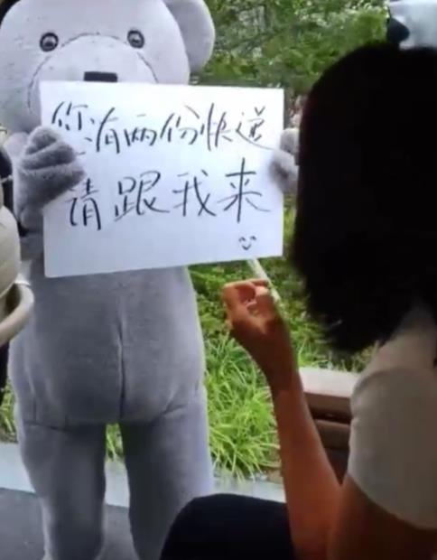 刘涛生日王珂穿玩偶服变装送惊喜 花房示爱超浪漫（图）