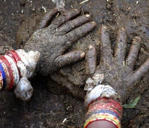 印度牛粪饼网上热卖：围观你吃得下吗（图）