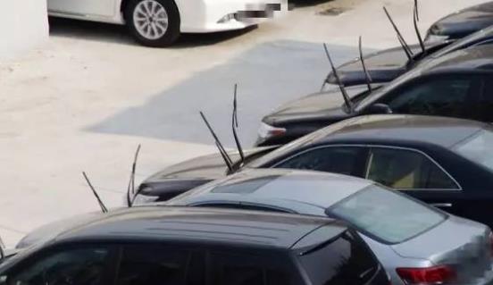 夏天停车为啥一定要把雨刷立起来:修车师傅解答 夏天停车为啥一定要把雨刷立起来:修车师傅解答