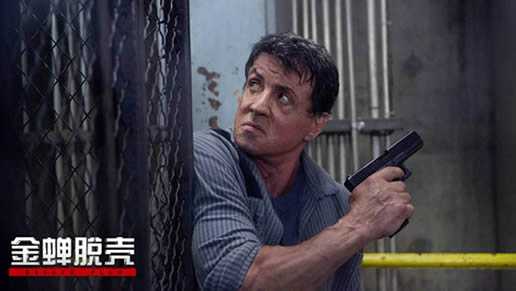 关于越狱的电影有哪些(精推10部必看的越狱电影) 关于越狱的电影有哪些(精推10部必看的越狱电影)