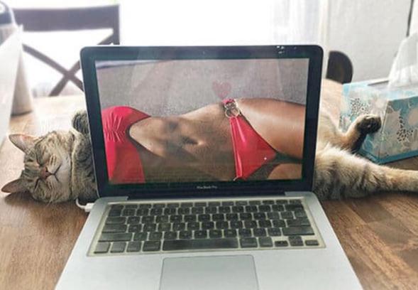 一张图片笑死10亿人，让人合不拢嘴的搞笑图片(吃饭时当心笑喷)