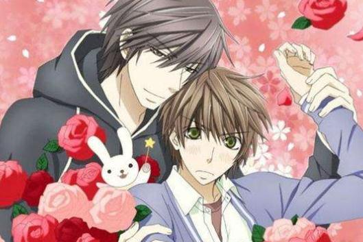 腐女必看的几部动漫排行前10(人气腐女动漫推荐)