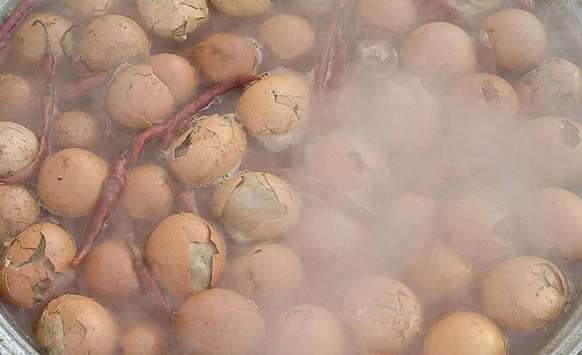 毛蛋有营养吗对身体有害吗 毛蛋有营养吗对身体有害吗