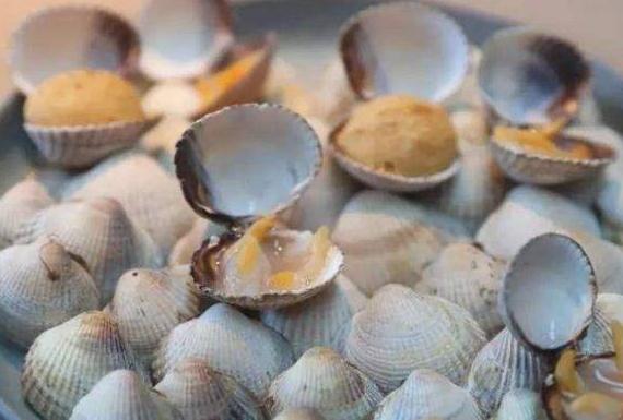 5种不死虫(不死虫是什么样子的图片)